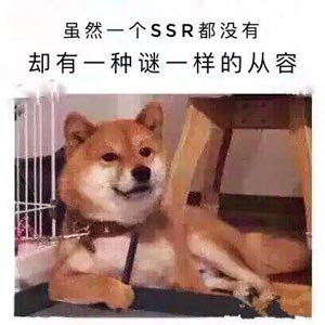 阴阳师ssr搞笑表情包合集