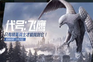 和平精英代号飞鹰获得方法