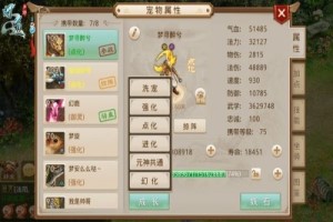 问道手游平民强化宠物攻略
