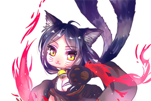 阴阳师九命猫哪里多