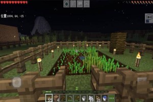 我的世界种植农作物方法