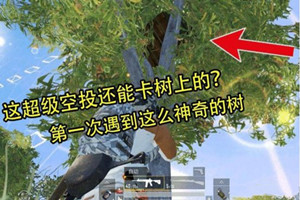和平精英空投掉树上怎么办