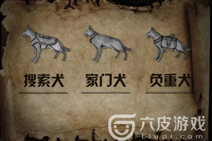 明日之后宠物狗食谱搭配推荐