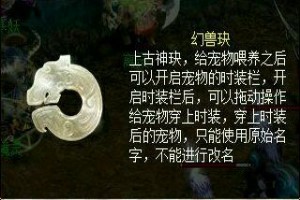 问道宠物时装怎么弄