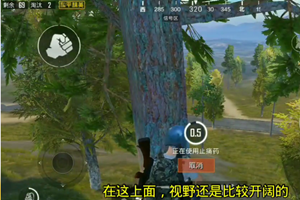 和平精英监狱上树阴人技巧