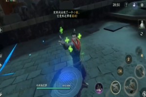流星蝴蝶剑小偷在哪