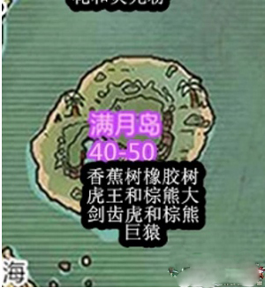 创造与魔法小岛资源分布详情一览