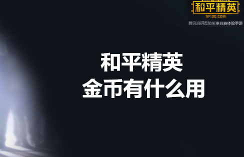 和平精英金币有哪些用途？