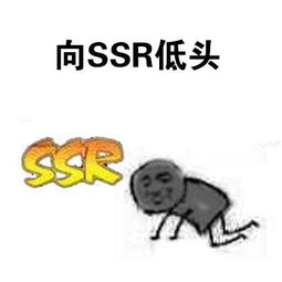 阴阳师ssr搞笑表情包合集