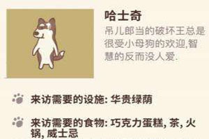 动物餐厅手游盘子怎样获得