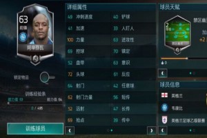 FIFA足球世界阿辛芬瓦怎么样