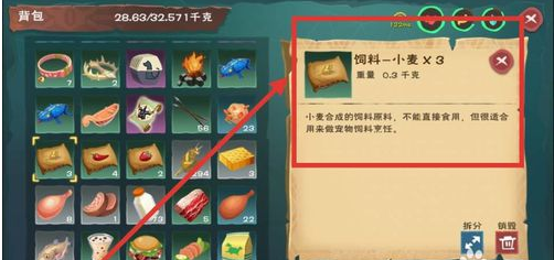 创造与魔法海龟饲料怎么做