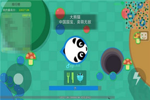 丛林大作战熊猫技能介绍